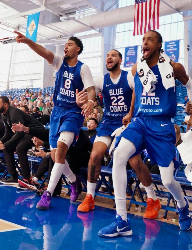 Delaware Blue Coats cheer from the bench