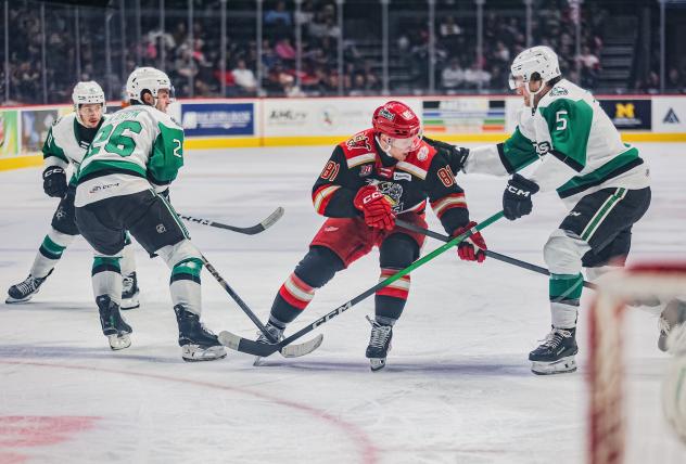 Texas Stars blanket the Grand Rapids Griffins