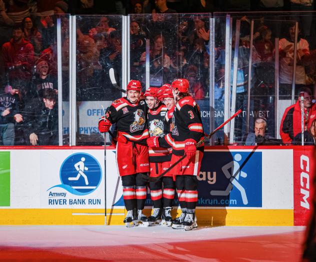 Grand Rapids Griffins gather after a goal