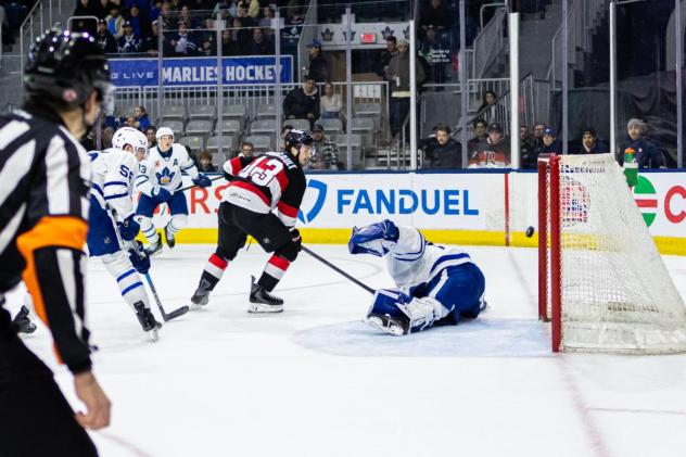 Belleville Senators right wing Xavier Bourgault scores against the Toronto Marlies
