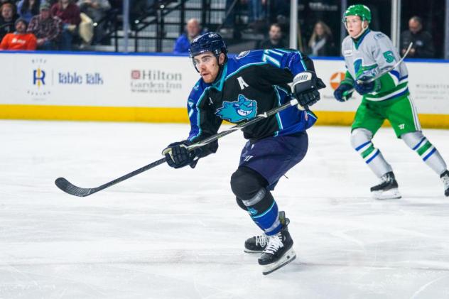 Worcester IceCats' Drew Callin in action