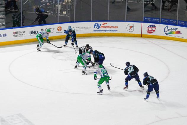 Florida Everblades battle the Worcester Railers