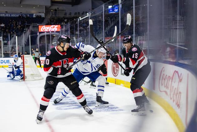 Belleville Senators battle the Toronto Marlies
