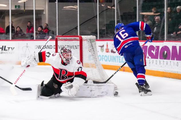 Belleville Senators in goal