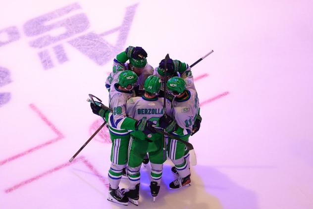Florida Everblades huddle after a goal