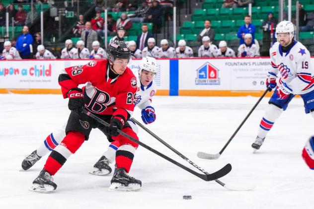 Belleville Senators defenceman Tomas Hamara vs. the Rochester Americans