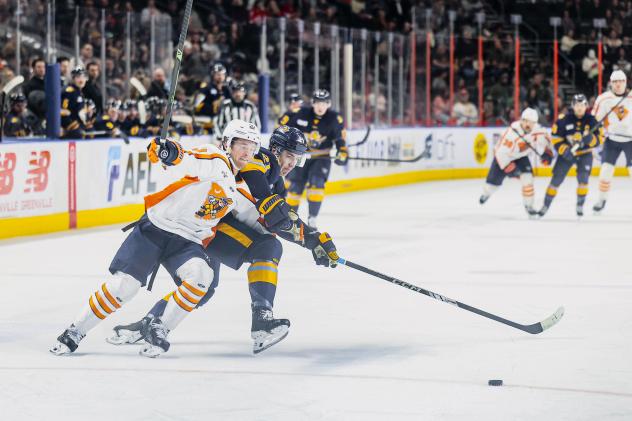 Atlanta Gladiators battle the Greeville Swamp Rabbits
