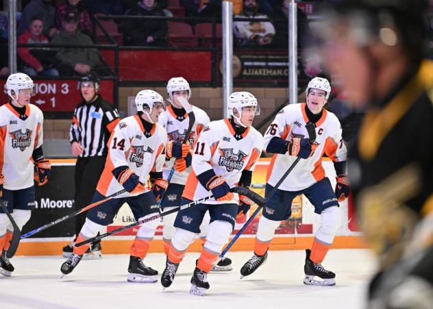 Flint Firebirds on the ice