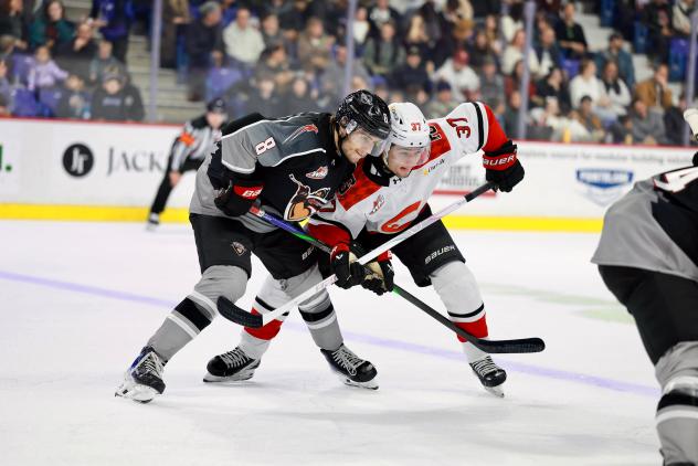 Vancouver Giants defenceman Jaxson Pawlenchuk faces off with the Prince George Cougars