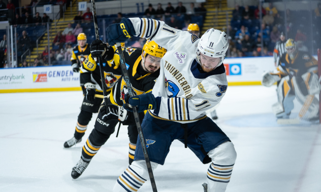 Springfield Thunderbirds forward Hugh McGing