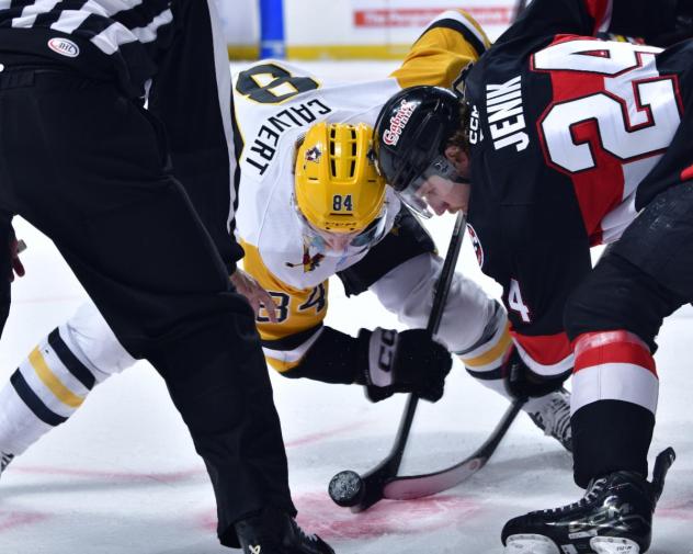 Belleville Senators centre Jan Jeník in the faceoff circle