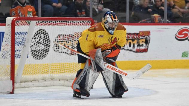 Flint Firebirds goaltender Mason Vaccari