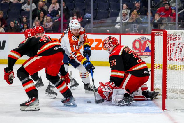 Grand Rapids Griffins goaltender Michal Postava vs. the Manitoba Moose