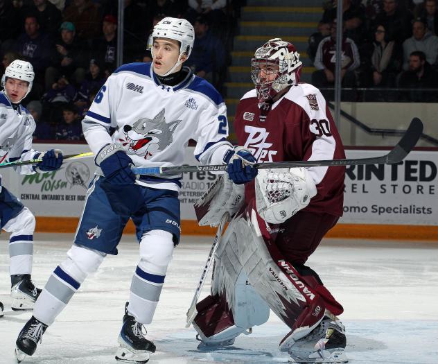 Peterborough Petes goaltender Easton Rye vs. the Sudbury Wolves