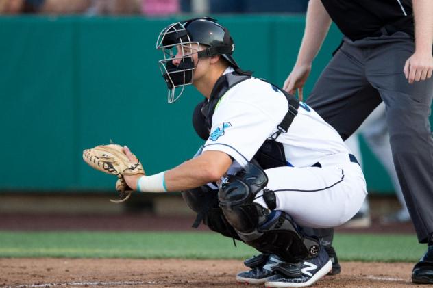 Catcher Cal Raleigh with the Everett AquaSox in 2018