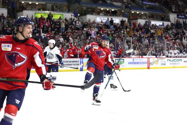 South Carolina Stingrays react after a goal against the Jacksonville Icemen