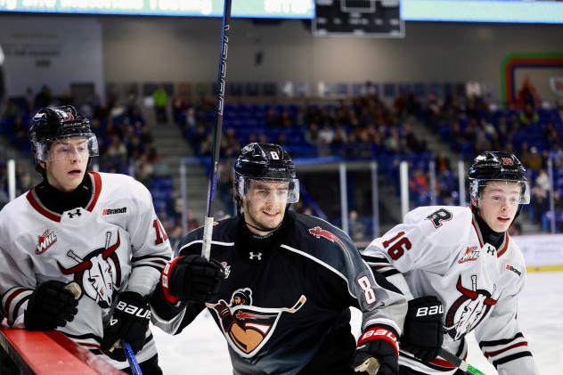 Vancouver Giants defenceman Jaxson Pawlenchuk vs. the Red Deer Rebels