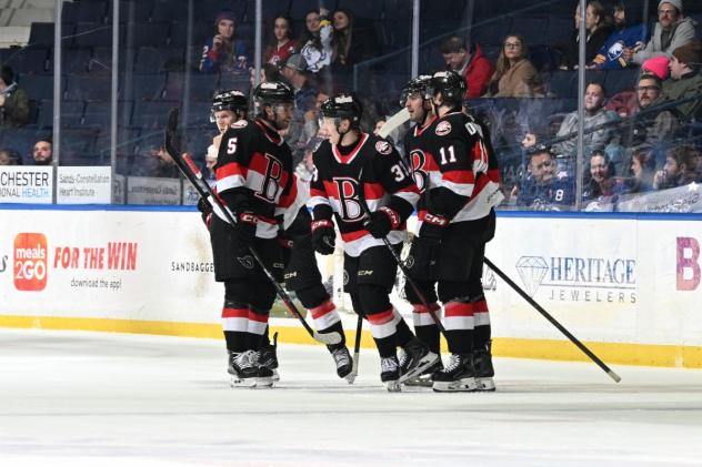 Belleville Senators gather after a goal against the Rochester Americans