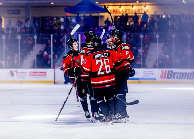 Red Deer Rebels celebrate a goal