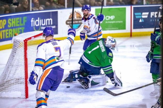 Orlando Solar Bears react after a score against the Florida Everblades