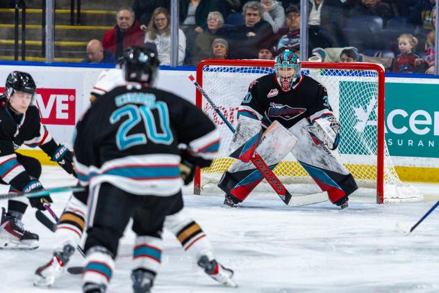 Kelowna Rockets goaltender Harrison Boettiger