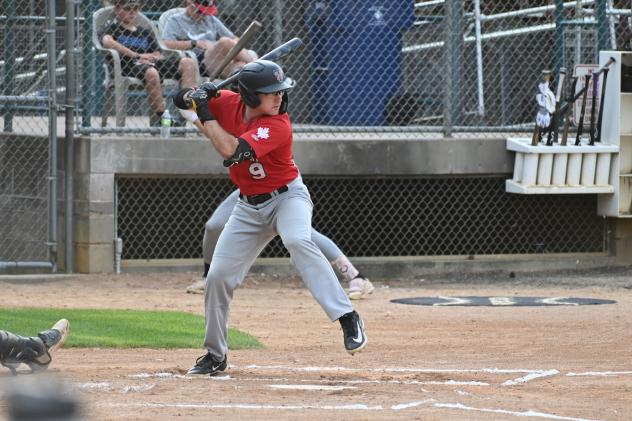 Trey Fikes at bat for the Thunder Bay Border Cats