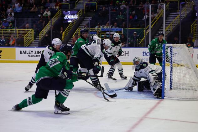 Florida Everblades look for a goal against the Maine Mariners