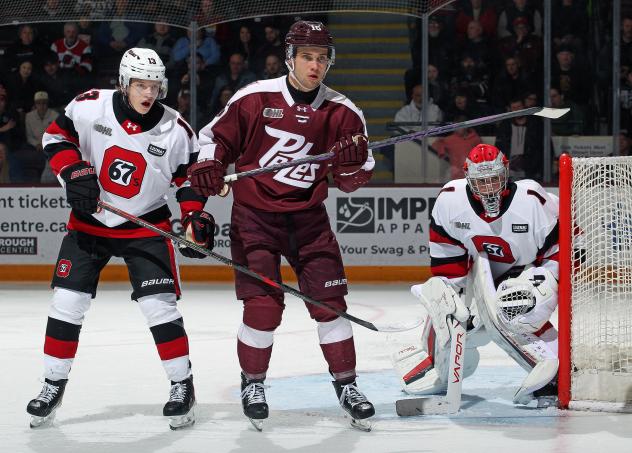 Peterborough Petes left wing Adam Novotný vs. the Ottawa 67's