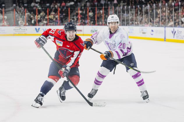 South Carolina Stingrays forward Lynden Breen (left) vs. the Greenville Swamp Rabbits