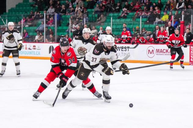 Belleville Senators centre Stephen Halliday (left) vs. the Hershey Bears