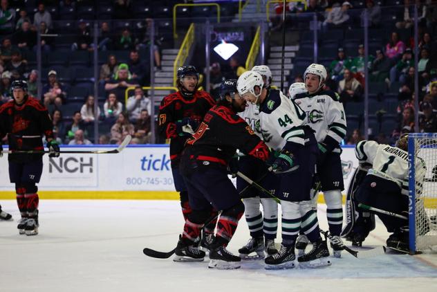 Florida Everblades and Maine Mariners on the ice