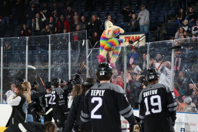 Youngstown Phantoms on Teddy Bear Toss Night