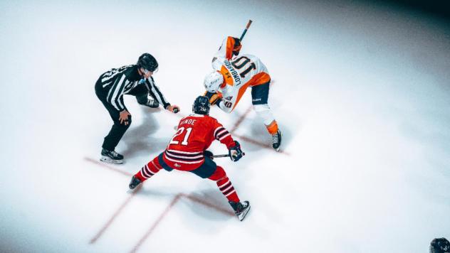 Flint Firebirds center Jimmy Lombardi faces off with the Oshawa Generals