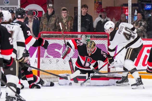 Belleville Senators goaltender Leevi Meriläinen