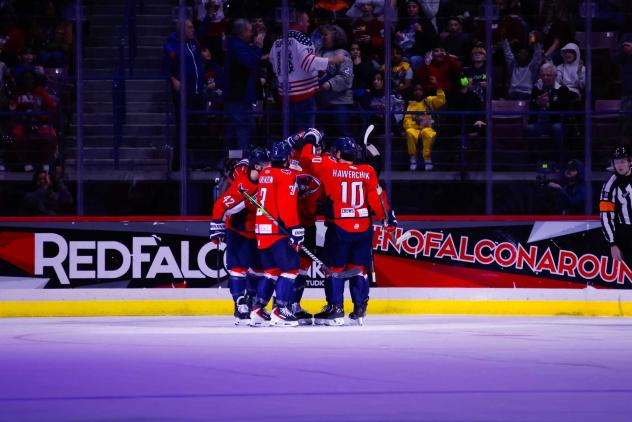 South Carolina Stingrays celebrate a goal