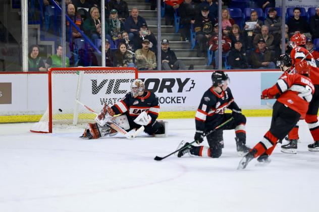 Action at the 2026 WHL Prospects Game