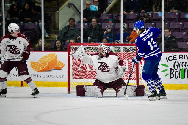 Peterborough Petes goaltender Easton Rye vs. the Brampton Steelheads