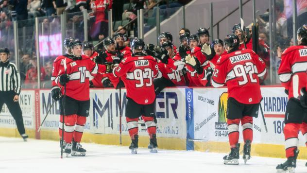 Adirondack Thunder exchange congratulations along the bench
