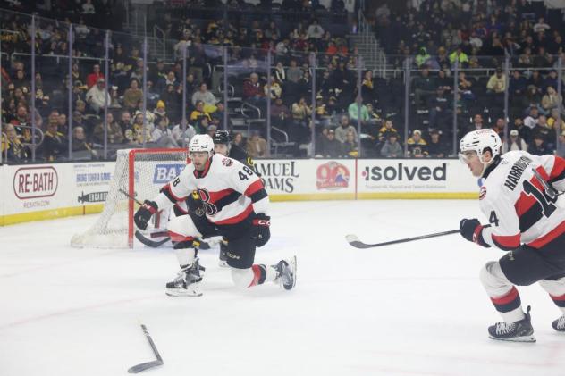 Belleville Senators defensemen Dennis Gilbert (left) and Scott Harrington vs. the Providence Bruins