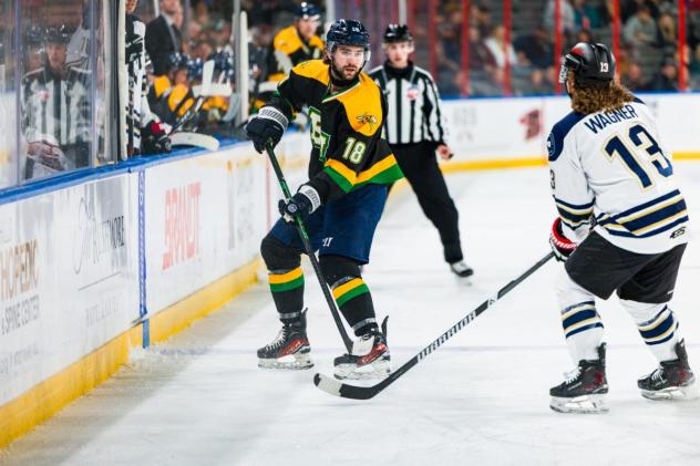 Worcester Railers' Michael Suda versus Rapid City Rush's Ryan Wagner