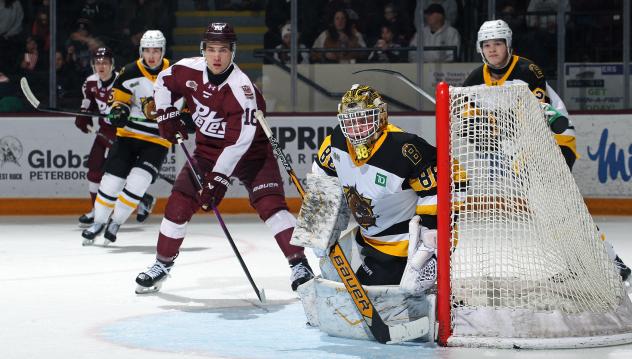 Peterborough Petes left wing Adam Novotný vs. the Brantford Bulldogs