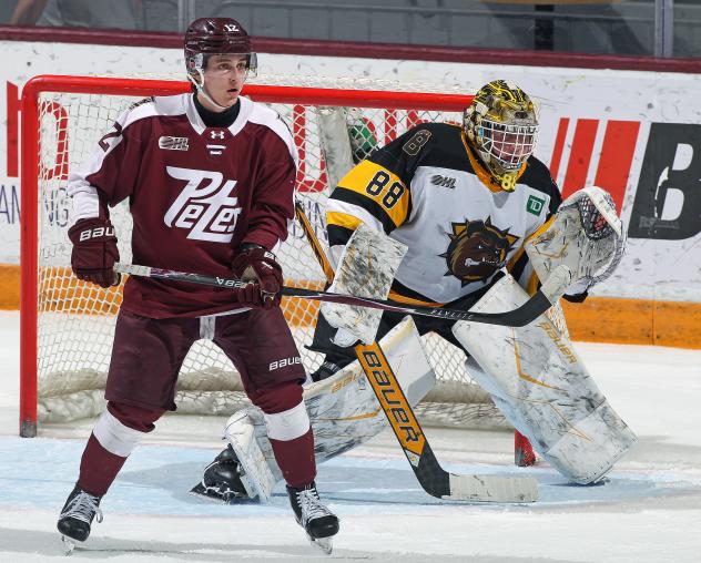 Peterborough Petes left wing Leon Kolarik vs. the Brantford Bulldogs