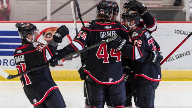 Adirondack Thunder celebrate a goal