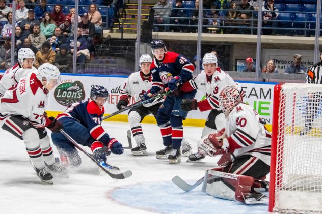 Saginaw Spirit battle the Guelph Storm