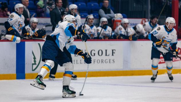Toledo Walleye defenseman Riley McCourt