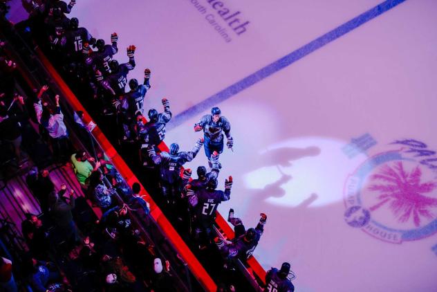 A view from above of a South Carolina Stingrays celebration
