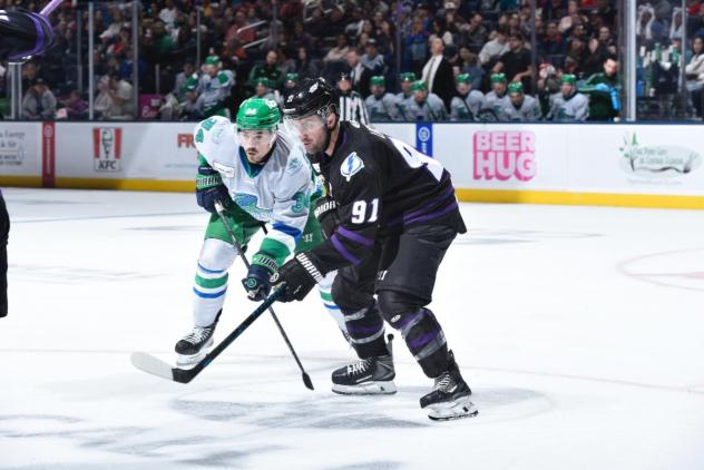 Orlando Solar Bears forward Aaron Luchuk