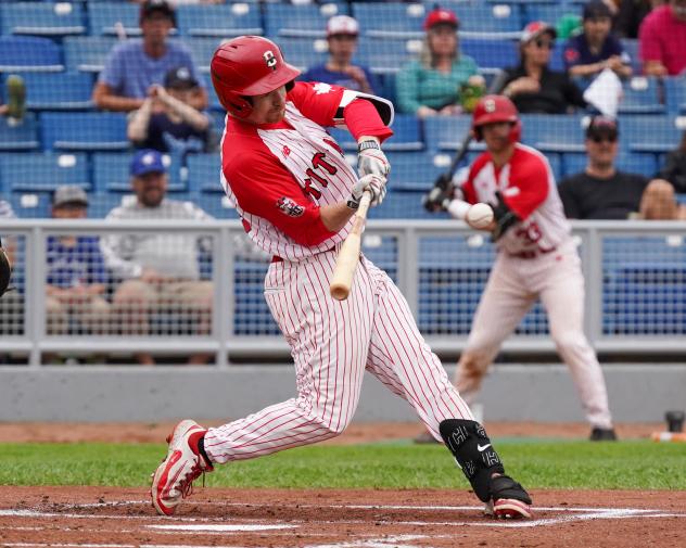 Ottawa Titans outfielder Nolan McCarthy