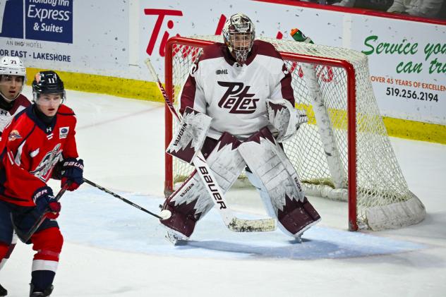 Peterborough Petes goaltender Easton Rye vs. the Windsor Spitfires