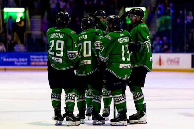 Florida Everblades huddle